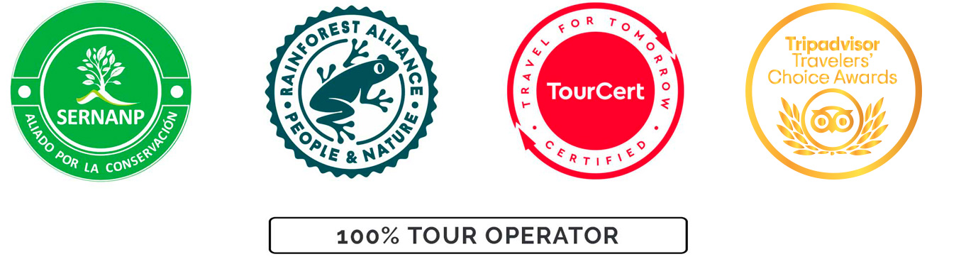 Local Tour Operator